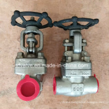 F304/F316/F304L/F316L Forged Steel Thread NPT Gate Valve